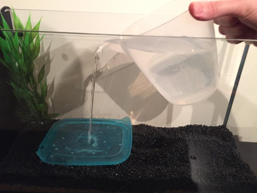 Adding water to Aquarium