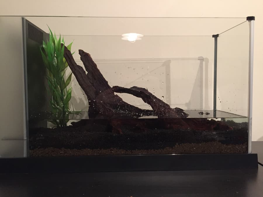 Water added to aquarium