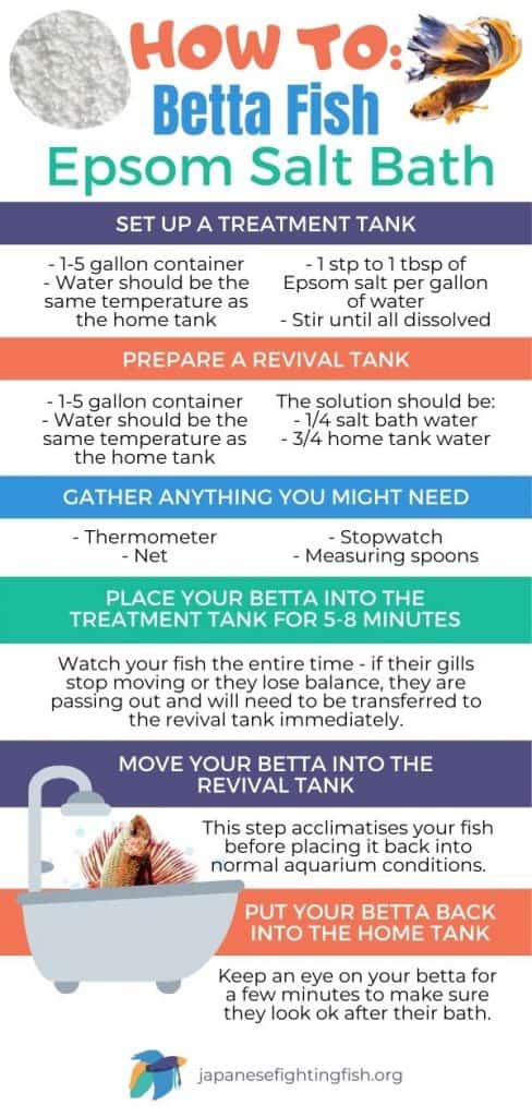 How to Give Your Betta Fish an Epsom Salt Bath