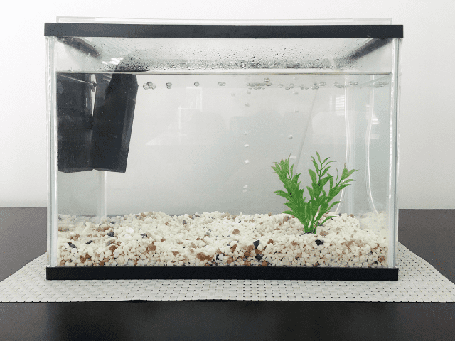 aquarium with water