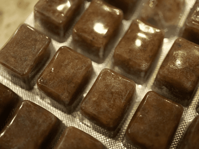 brine shrimp fish food