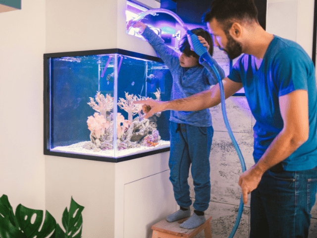 siphoning aquarium water using hose