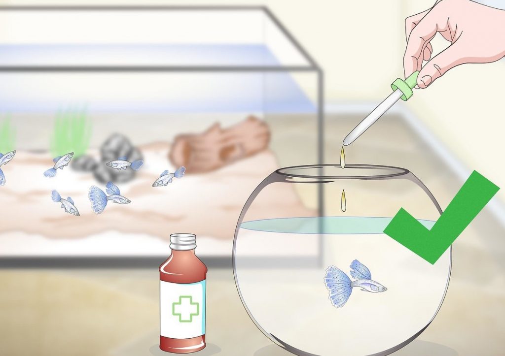 Antibiotic