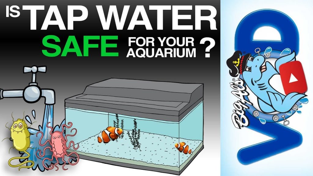 Ensure That The Water Is Safe