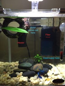 Filter Heater