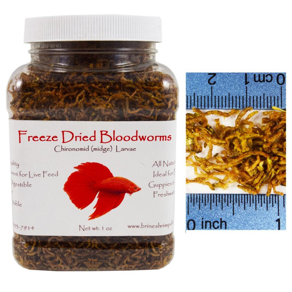 Freeze-Dried Bloodworms
