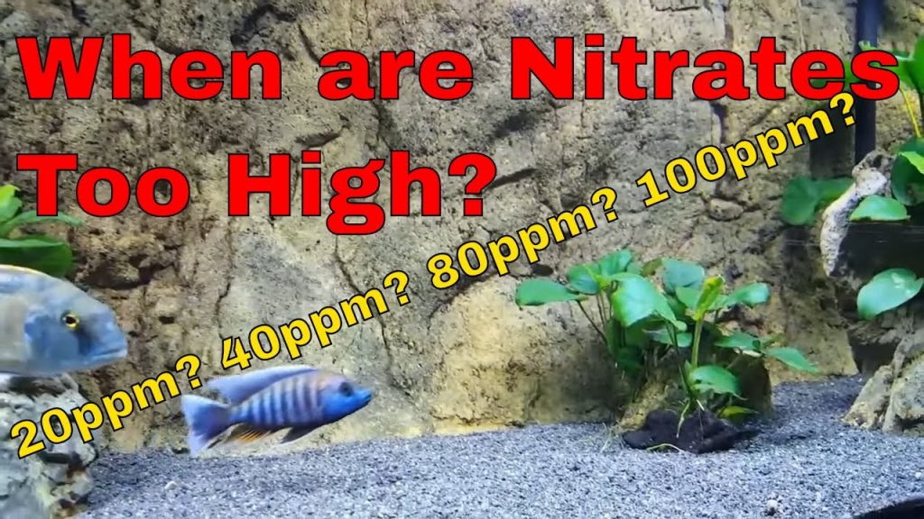Nitrate Level