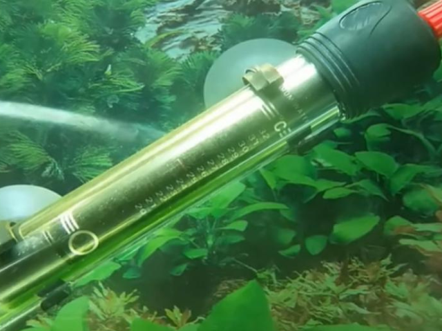 aquarium heater image