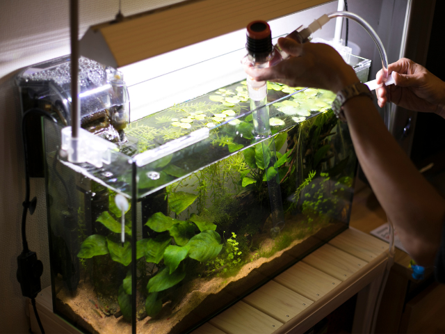 man cleaning aquarium