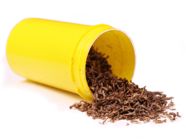 dried bloodworms fish food for aquarium