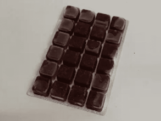 frozen bloodworms fish food 