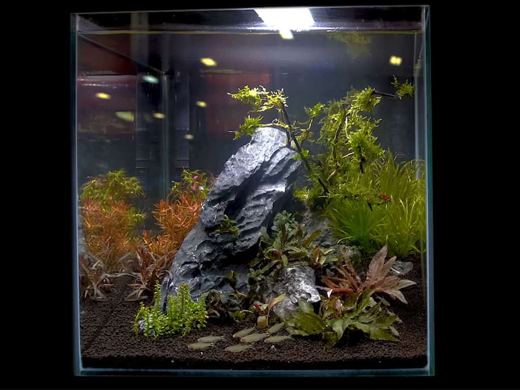 nano aquascape tank